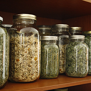 Jars of dried flowers and herbs